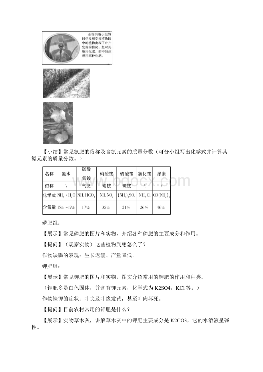 鲁教版九年级下册化学第十一单元 化学与社会发展 第三节 化学与农业生产.docx_第3页