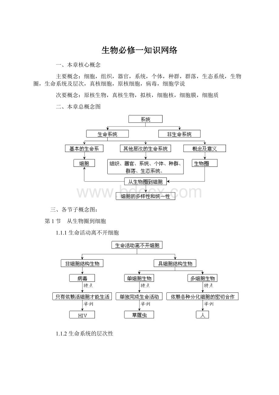 生物必修一知识网络.docx