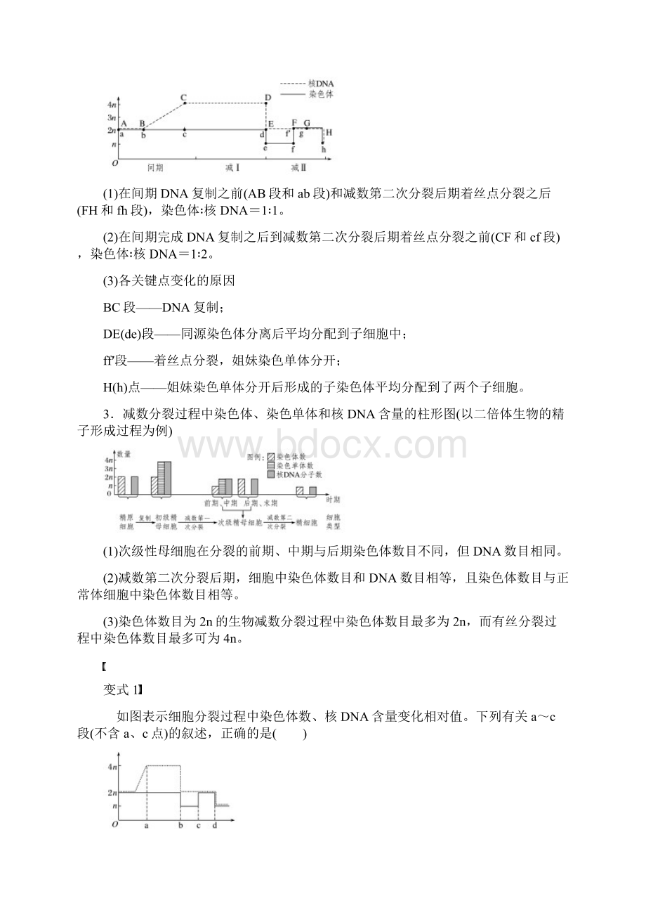 学年高中生物 第2章 基因和染色体的关系 微专题三 减数分裂中染色Word格式文档下载.docx_第3页