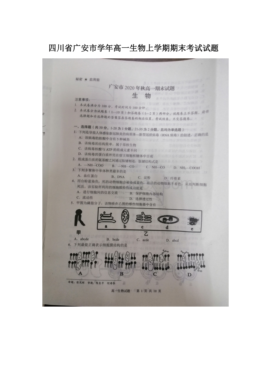 四川省广安市学年高一生物上学期期末考试试题Word格式.docx