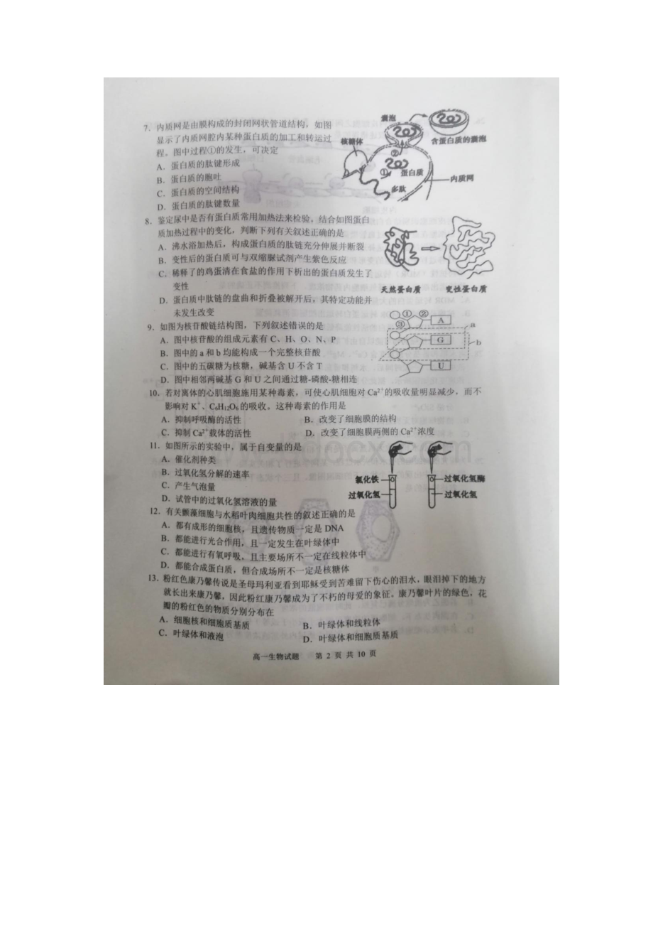 四川省广安市学年高一生物上学期期末考试试题.docx_第2页