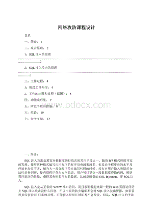 网络攻防课程设计.docx