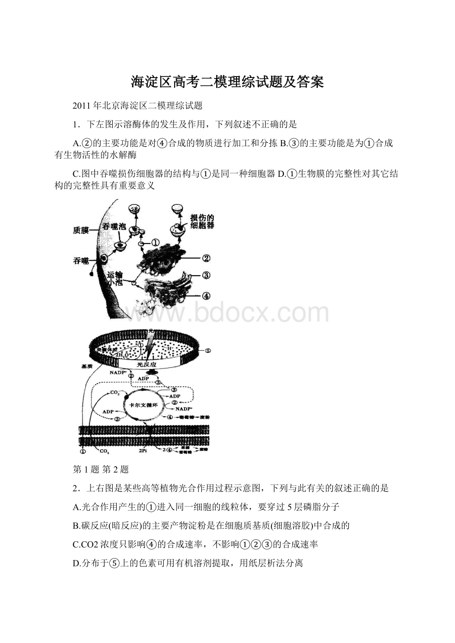 海淀区高考二模理综试题及答案Word文件下载.docx_第1页