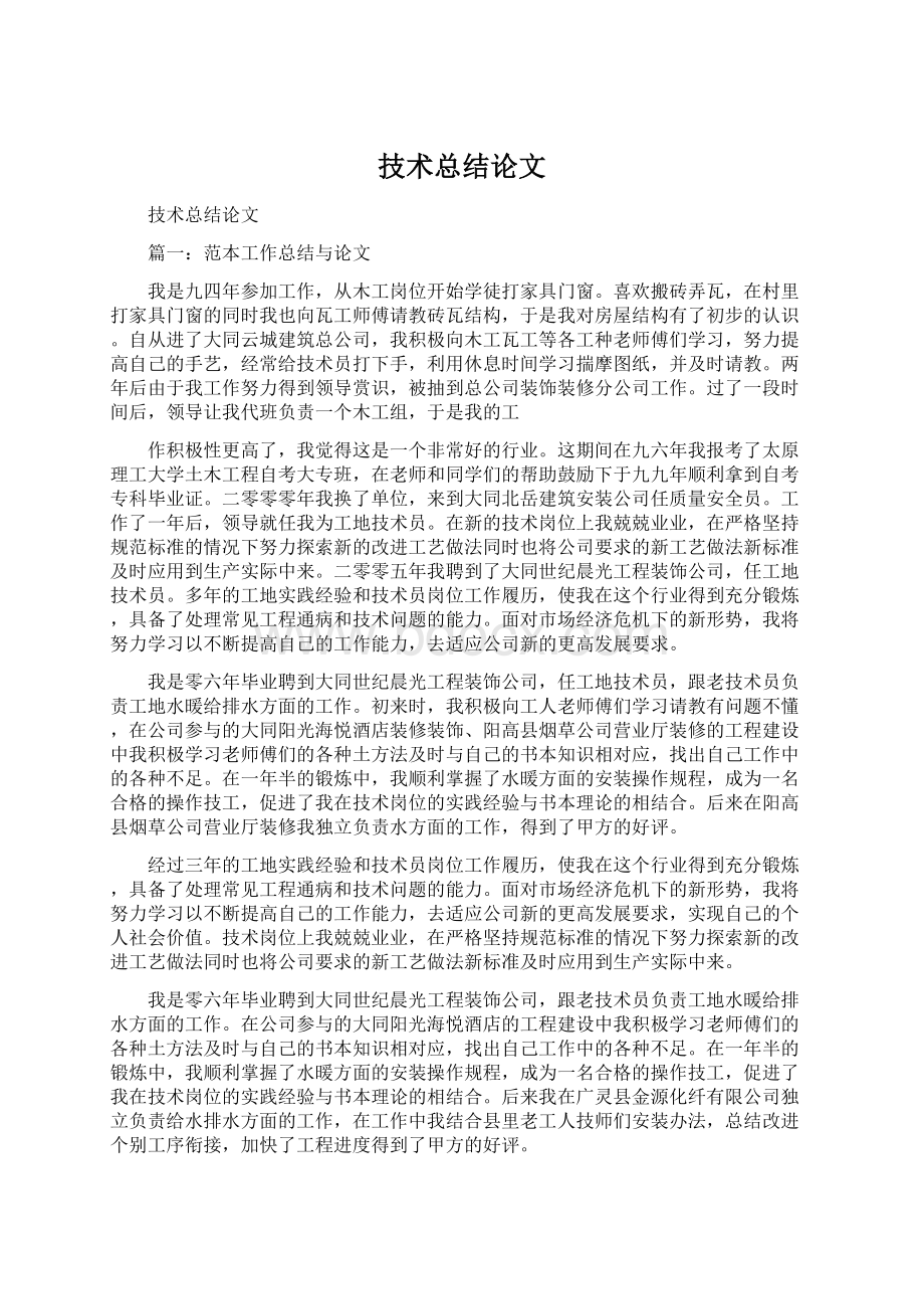 技术总结论文文档格式.docx