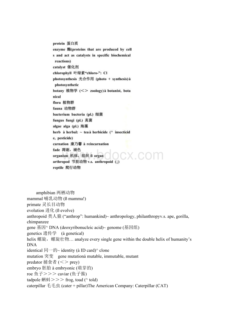 雅思分类词汇.docx_第3页