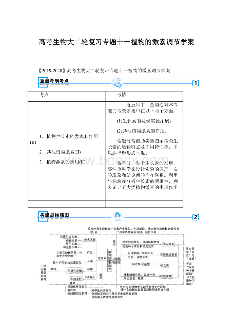 高考生物大二轮复习专题十一植物的激素调节学案文档格式.docx