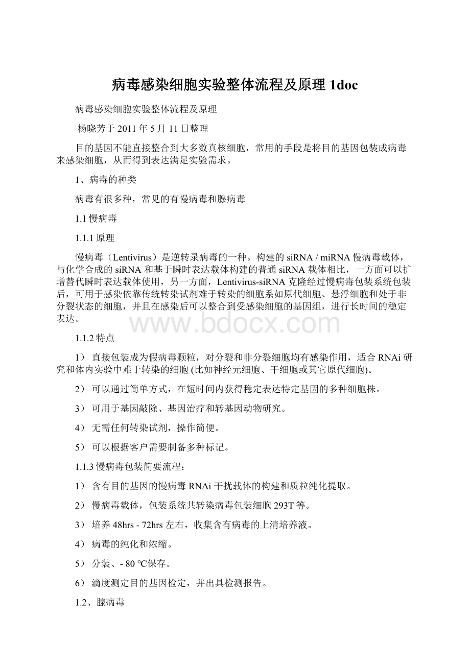 病毒感染细胞实验整体流程及原理1doc.docx_第1页