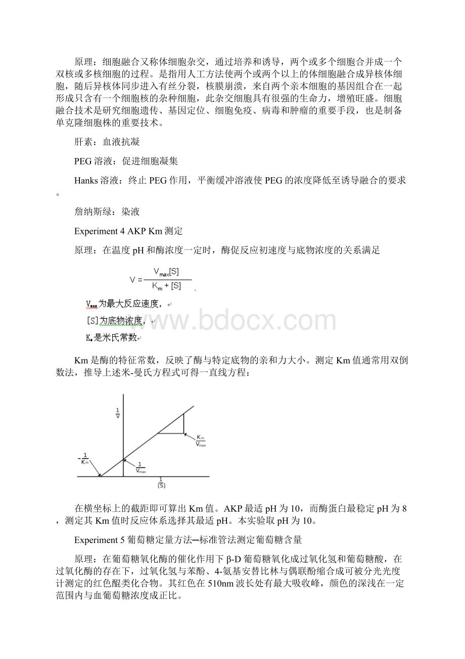 八年制细胞与分子生物学实验备考BY顾豪Word文档下载推荐.docx_第2页