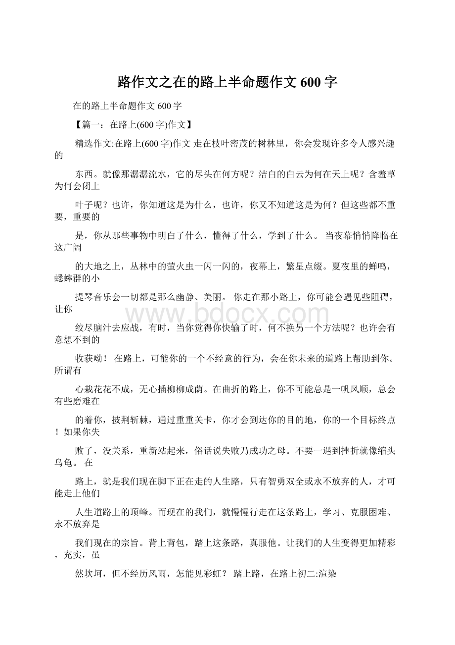 路作文之在的路上半命题作文600字Word文档格式.docx