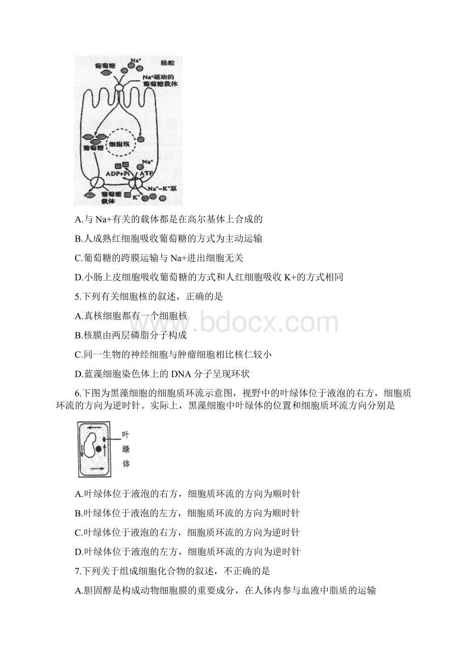 重庆市第一中学学年高二上学期期中考试生物试题Word文件下载.docx_第2页