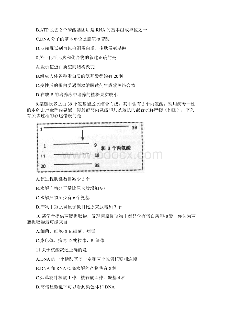 重庆市第一中学学年高二上学期期中考试生物试题Word文件下载.docx_第3页