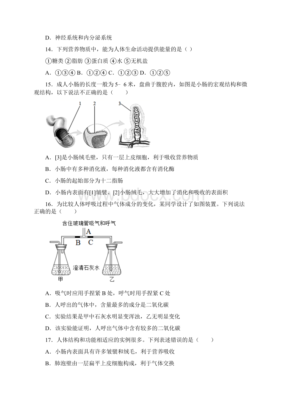 七年级生物下册期中复习知识点.docx_第3页