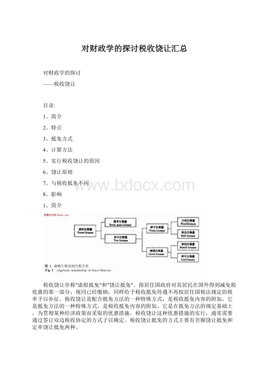 对财政学的探讨税收饶让汇总文档格式.docx