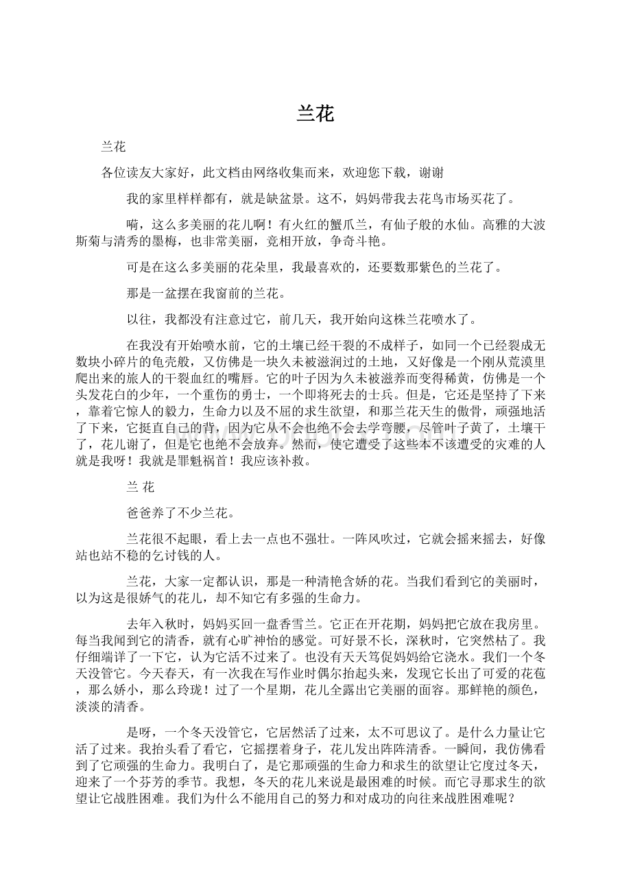 兰花文档格式.docx