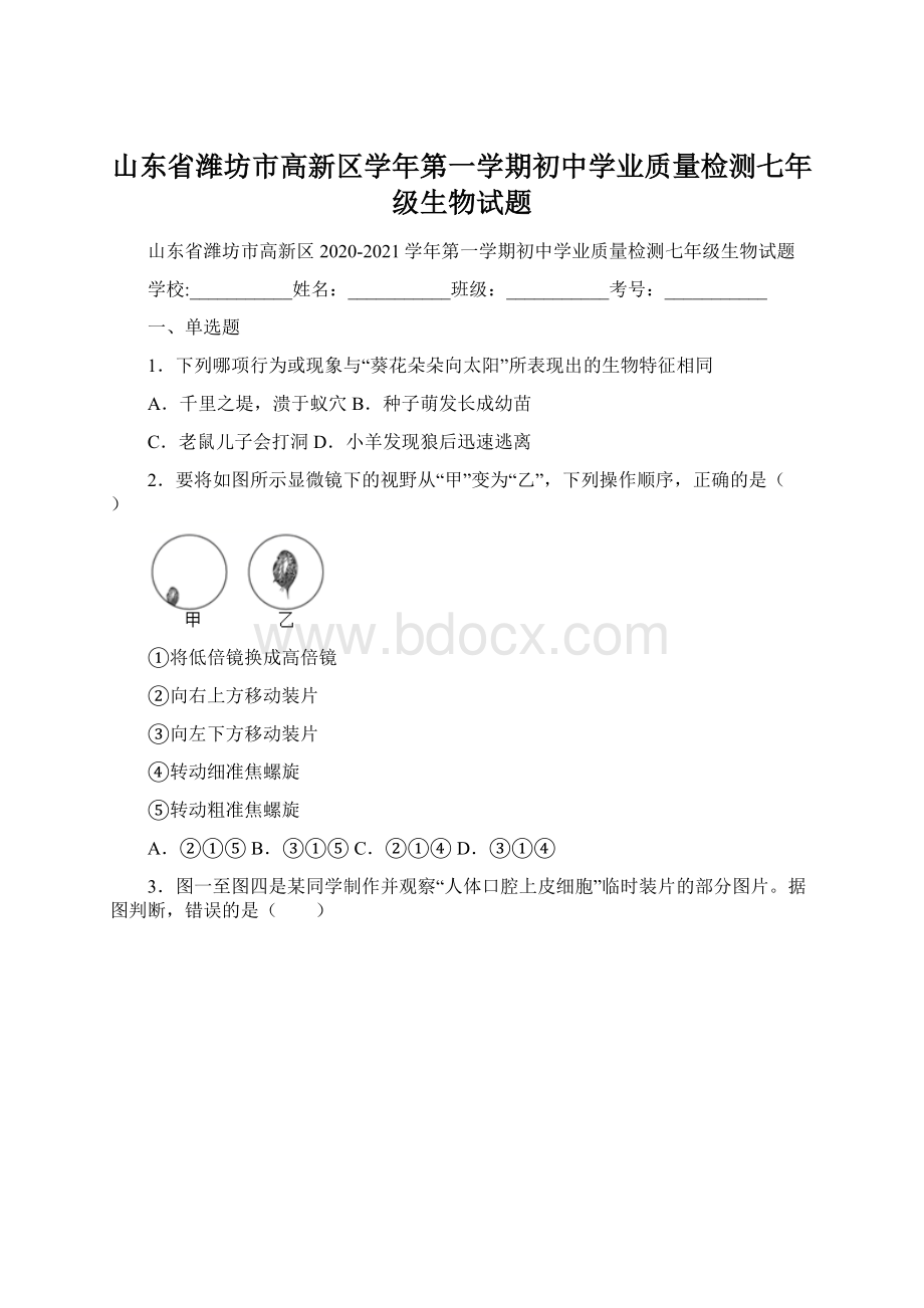 山东省潍坊市高新区学年第一学期初中学业质量检测七年级生物试题.docx_第1页