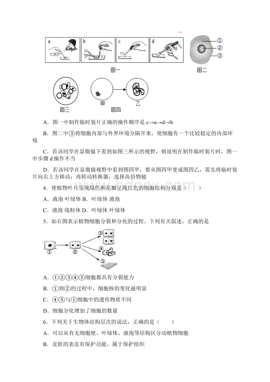 山东省潍坊市高新区学年第一学期初中学业质量检测七年级生物试题.docx_第2页