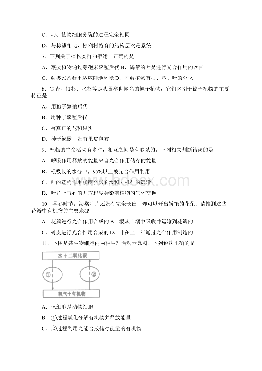 山东省潍坊市高新区学年第一学期初中学业质量检测七年级生物试题.docx_第3页