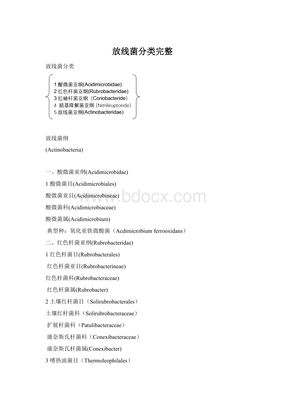 放线菌分类完整Word文件下载.docx