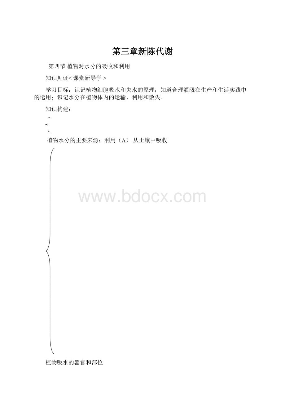 第三章新陈代谢文档格式.docx_第1页