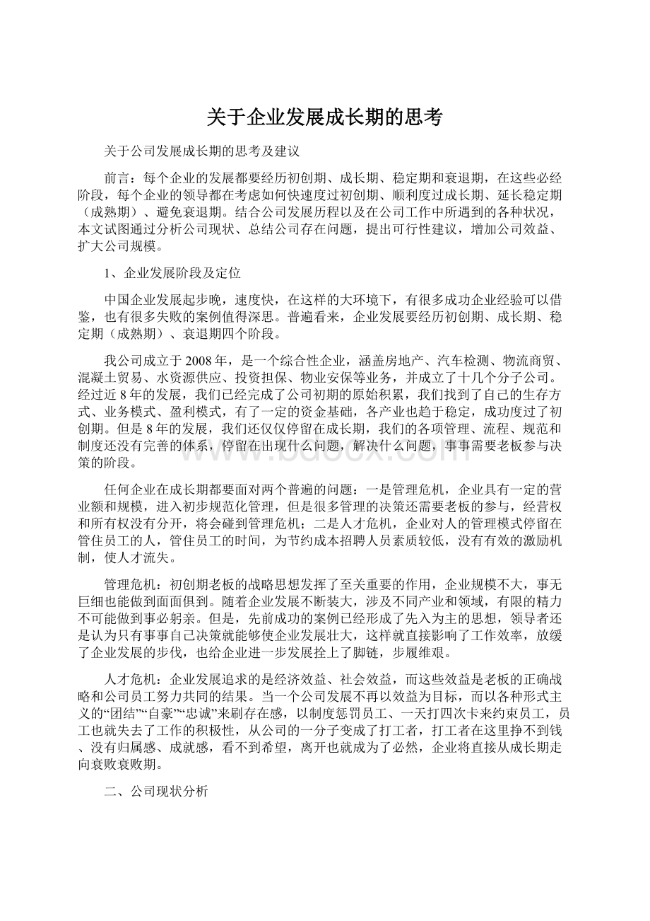 关于企业发展成长期的思考文档格式.docx