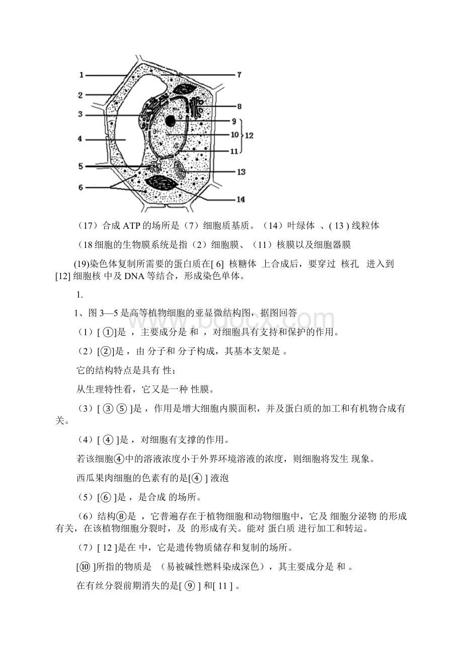 福建高中生物会考必考综合题文档格式.docx_第3页