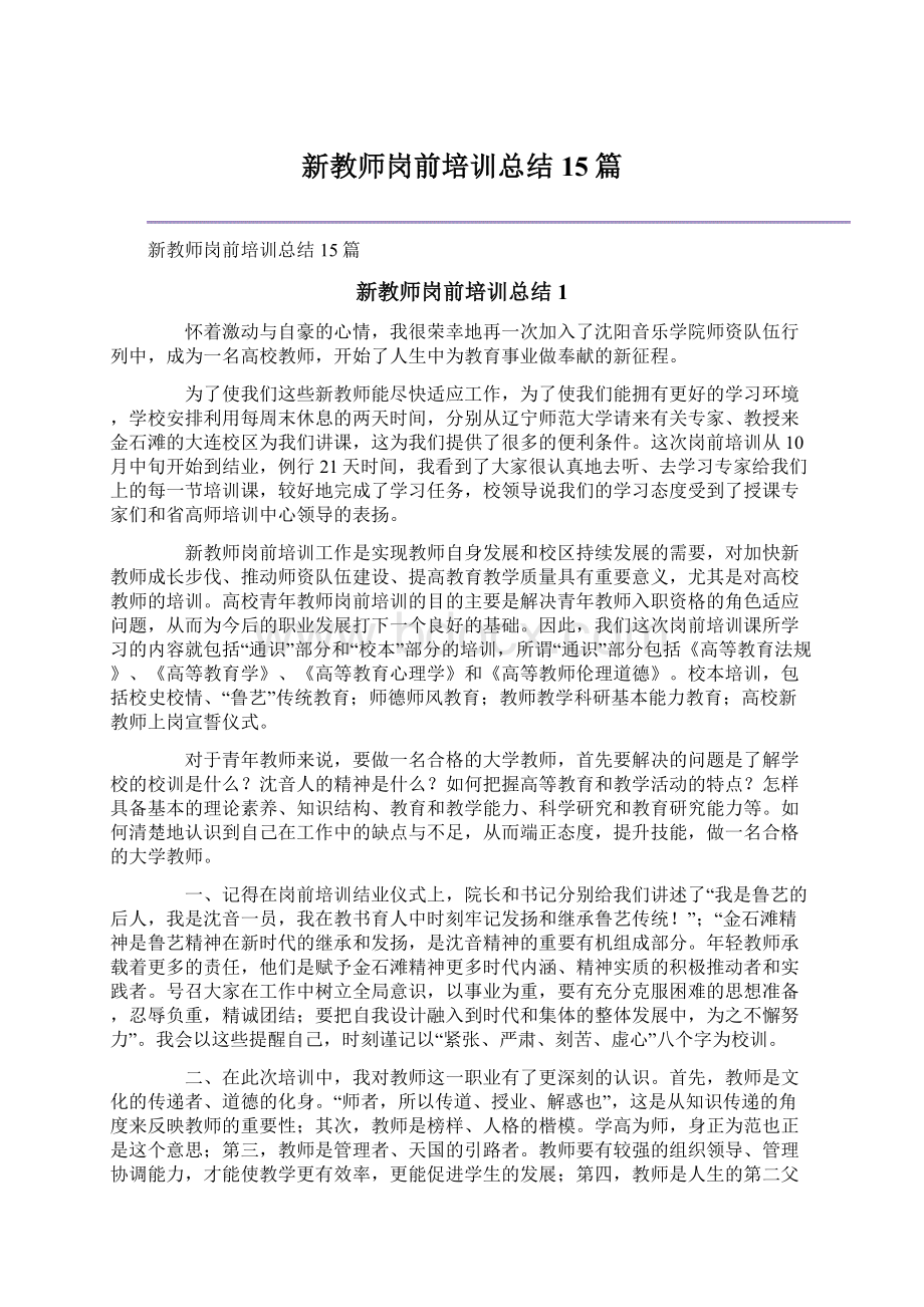 新教师岗前培训总结15篇文档格式.docx