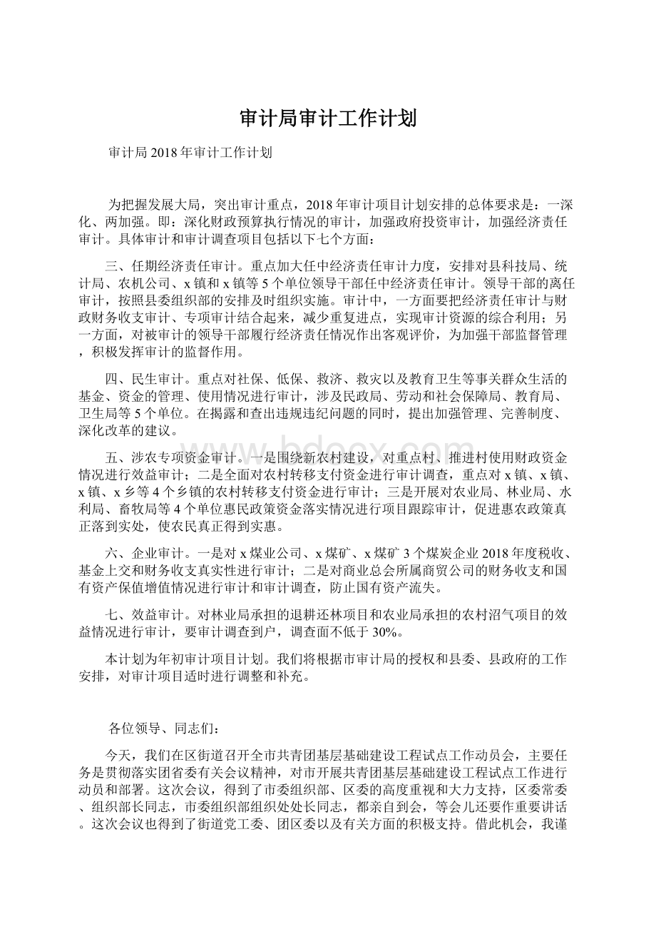 审计局审计工作计划.docx_第1页