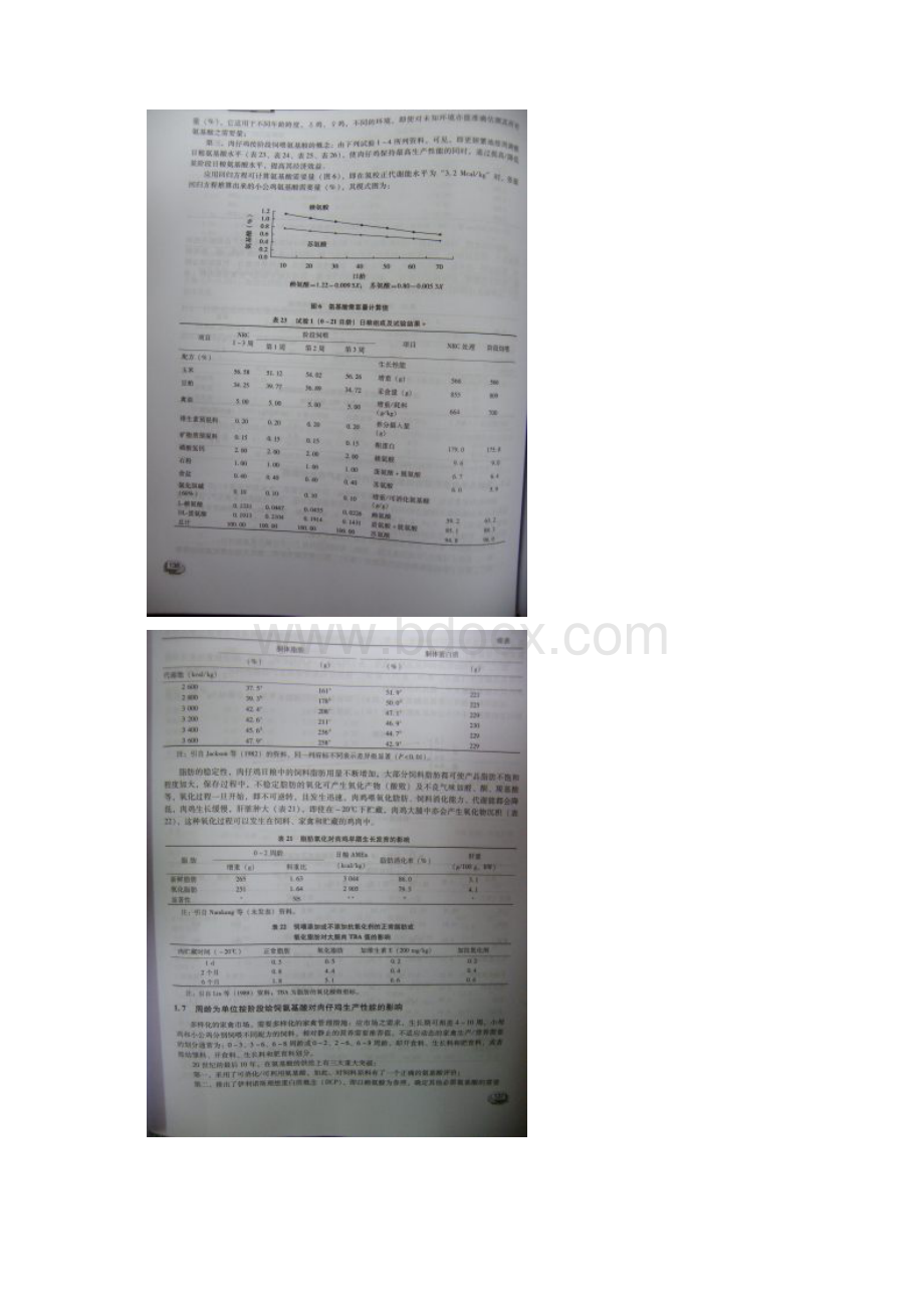 肉仔鸡生产中的几个饲料营养问题 3.docx_第2页