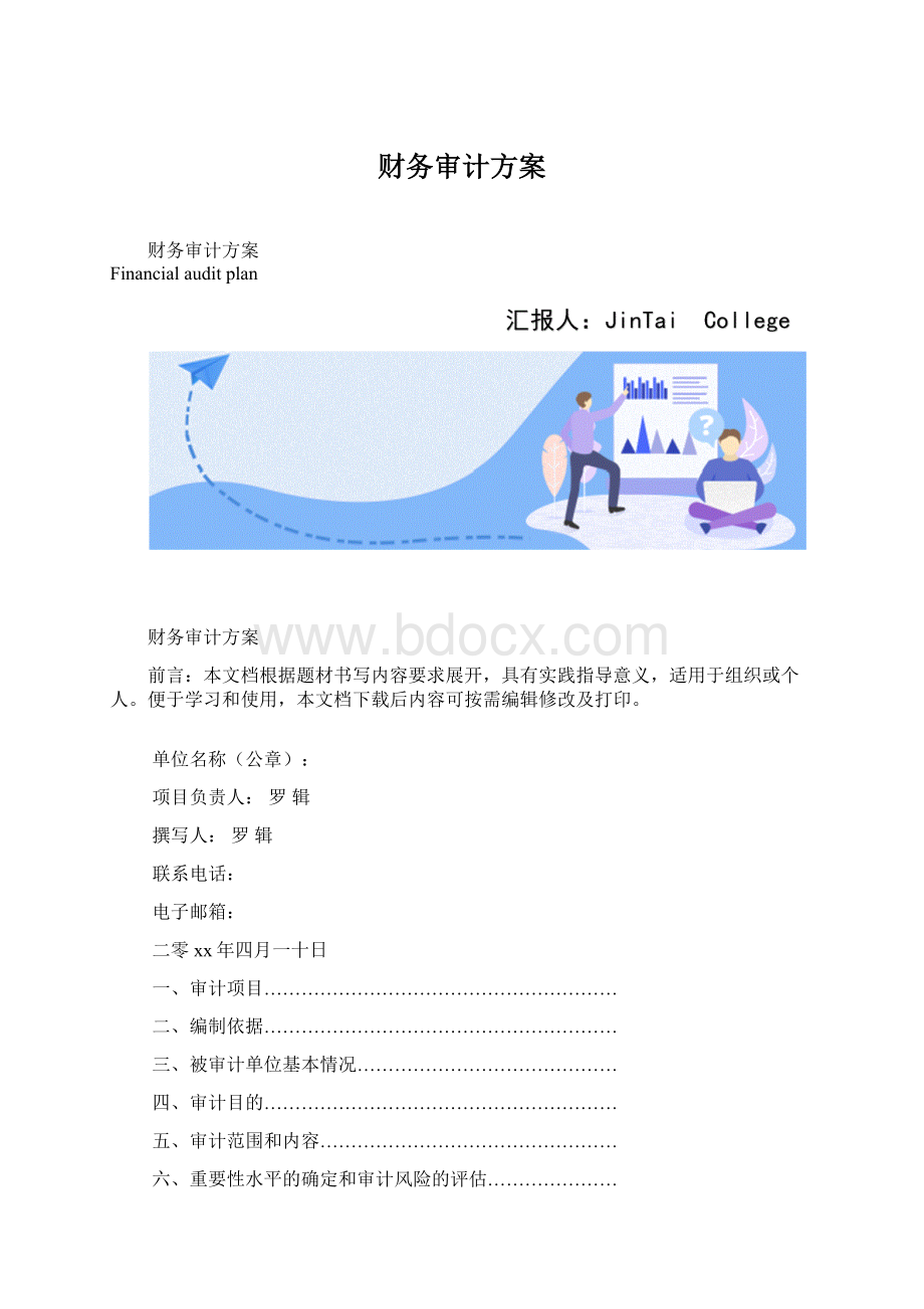 财务审计方案.docx_第1页