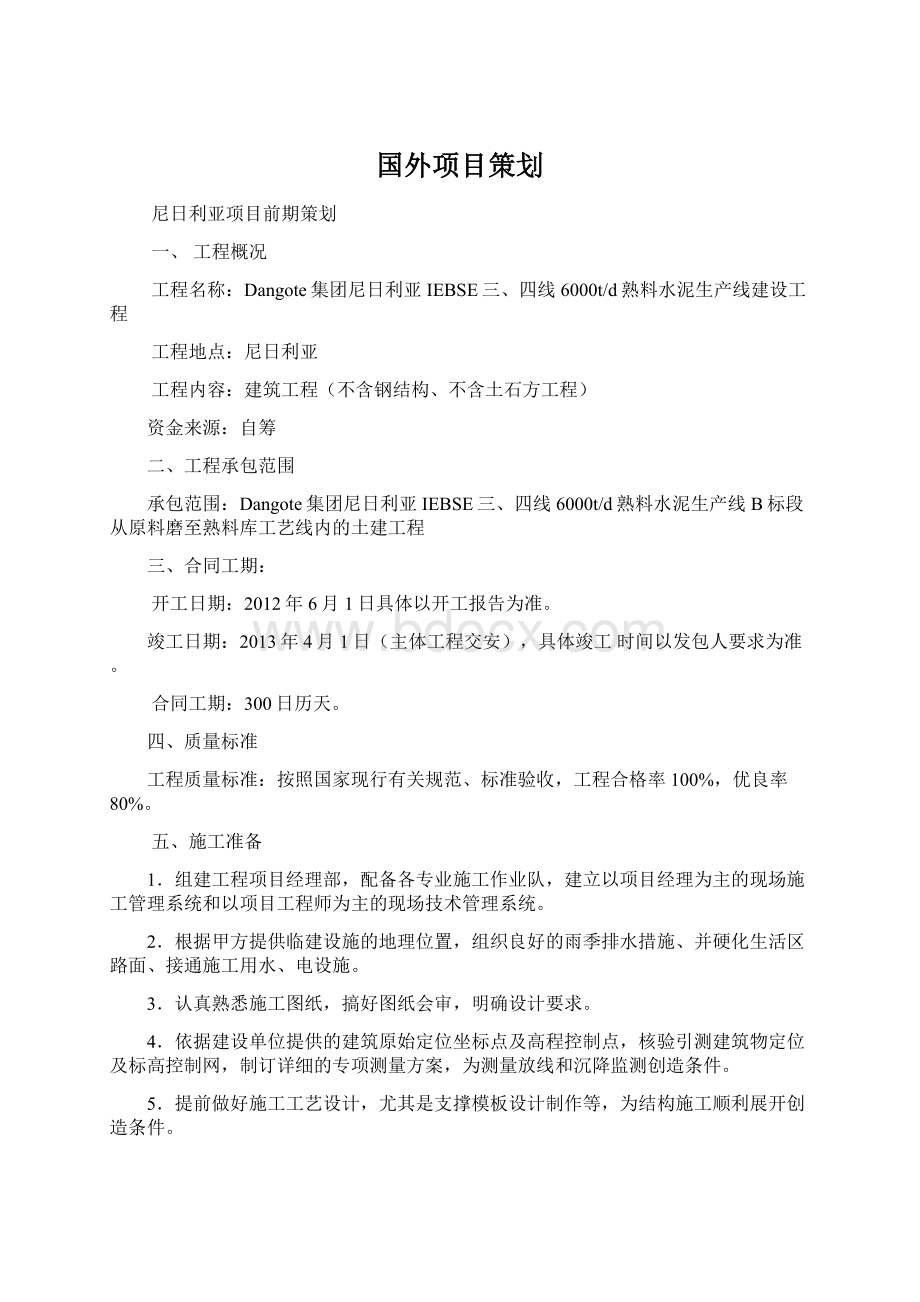 国外项目策划文档格式.docx