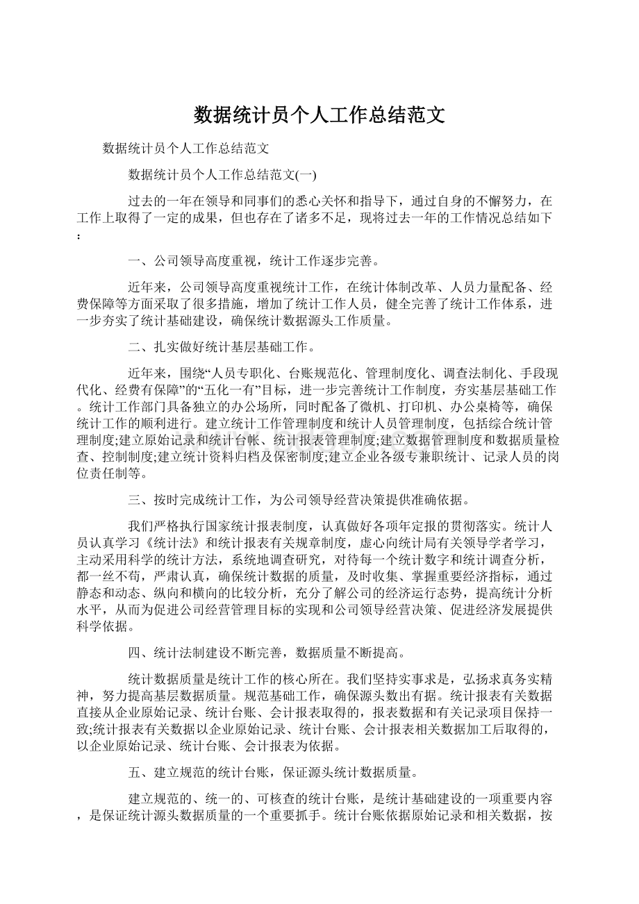 数据统计员个人工作总结范文Word格式文档下载.docx