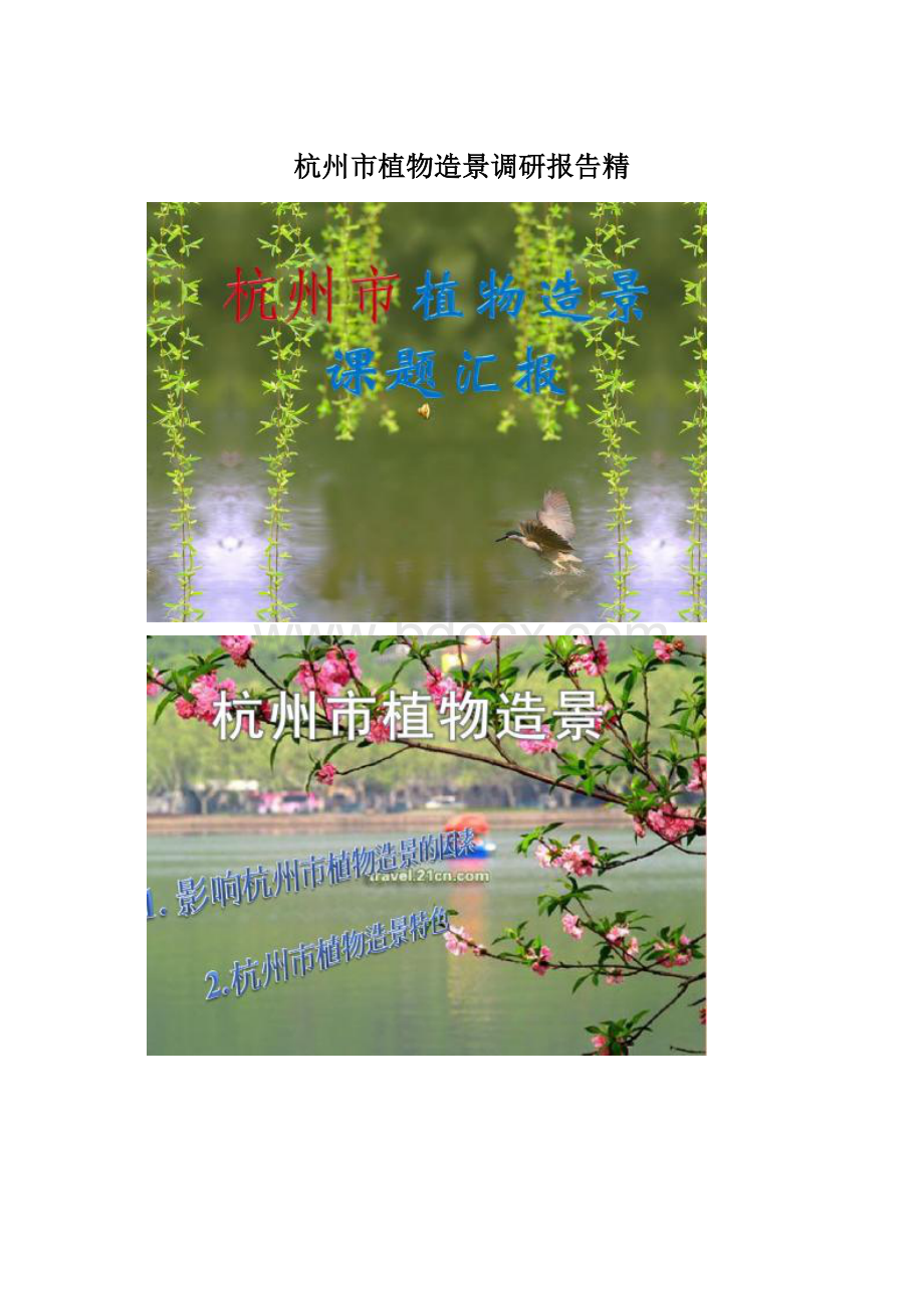 杭州市植物造景调研报告精Word格式文档下载.docx