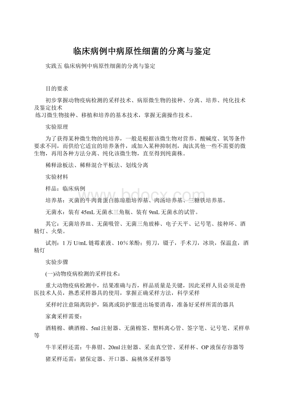 临床病例中病原性细菌的分离与鉴定.docx_第1页