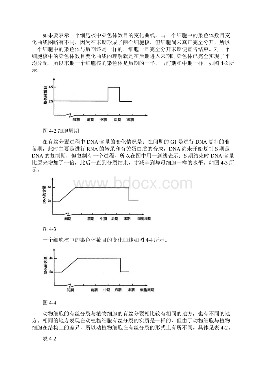 专题四细胞增殖与个体繁殖和个体发育Word下载.docx_第3页