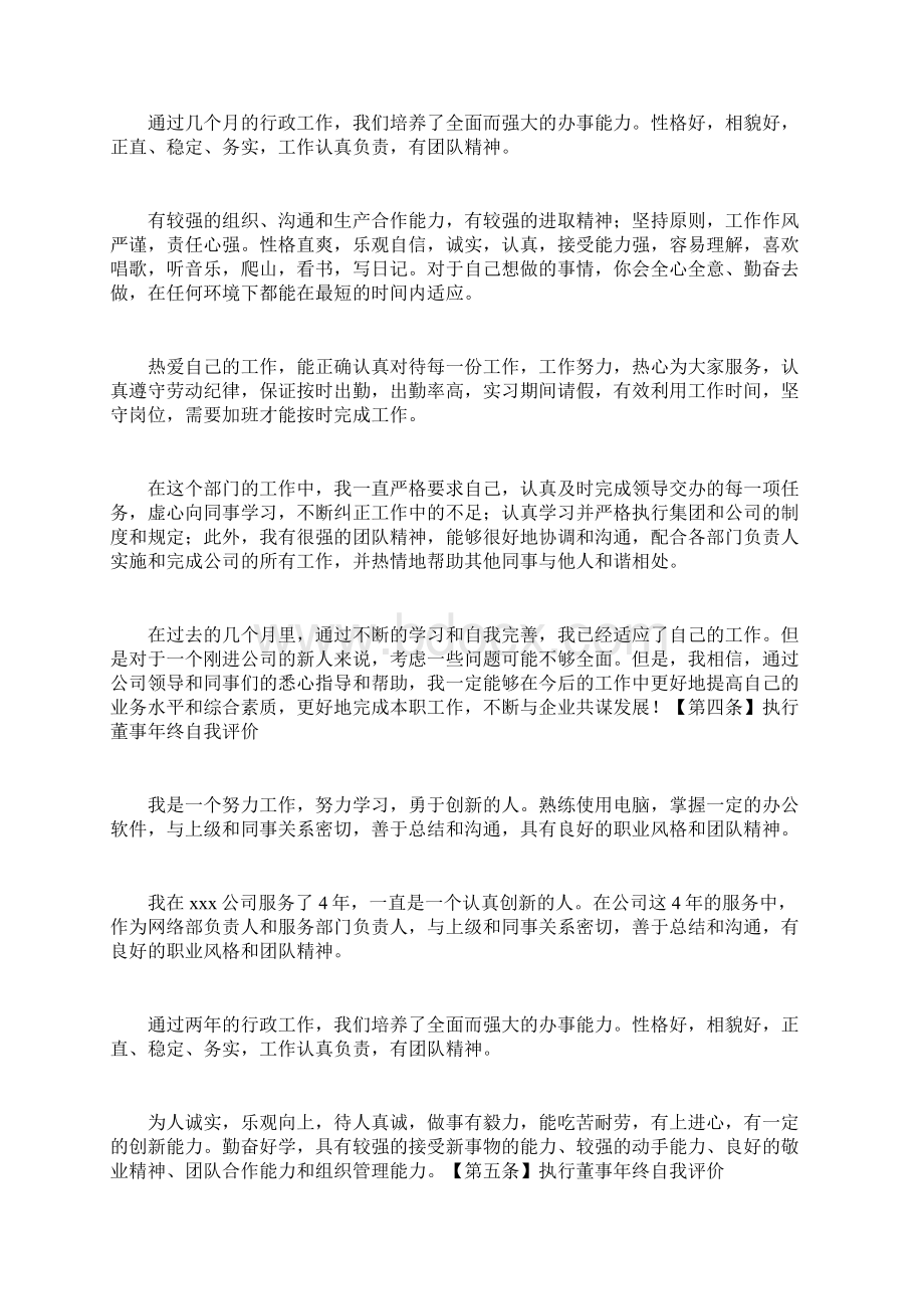 执行董事年终自我评价Word文档下载推荐.docx_第2页