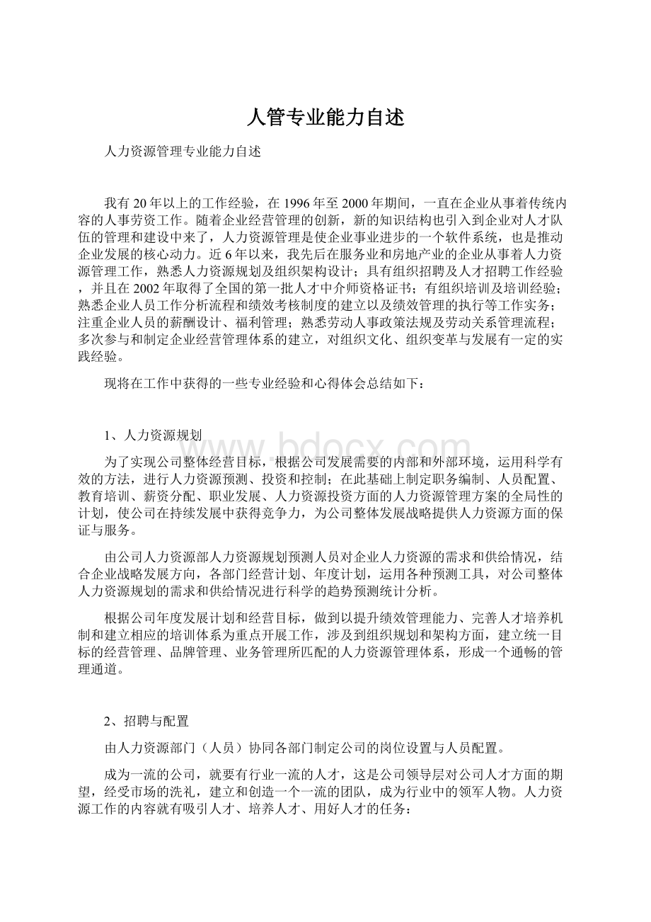 人管专业能力自述.docx_第1页