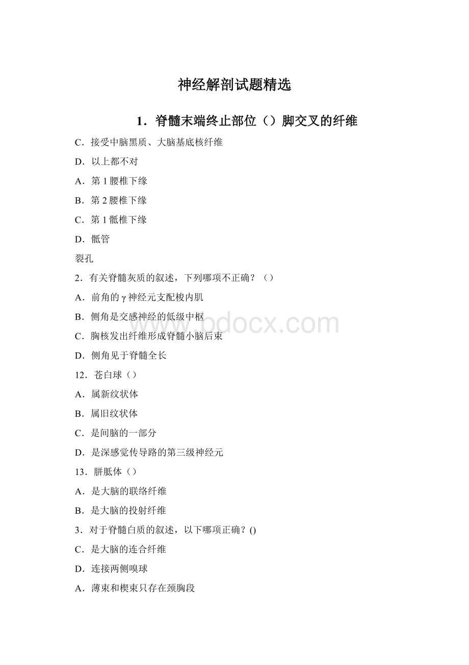 神经解剖试题精选Word格式文档下载.docx_第1页