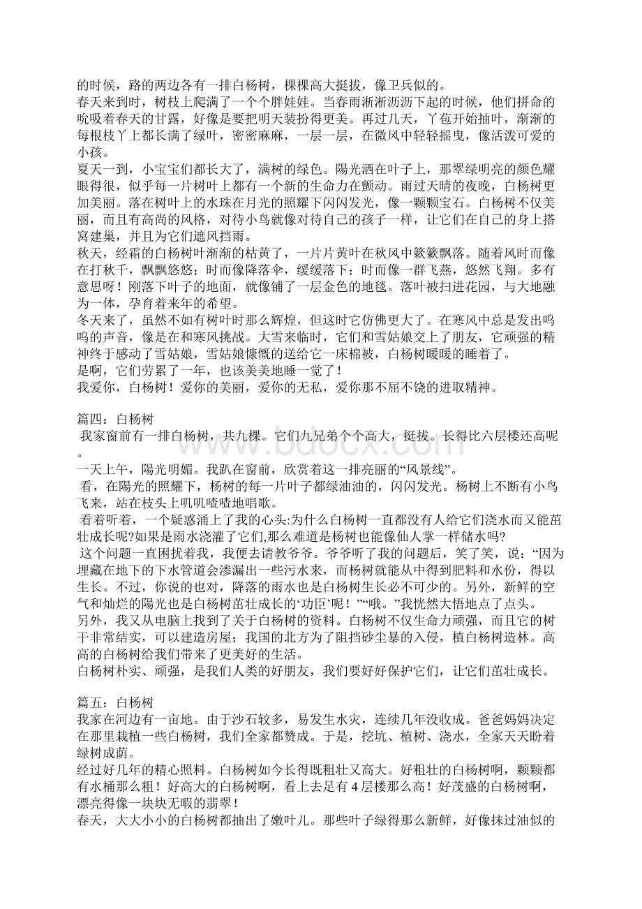 白杨树作文文档格式.docx_第2页