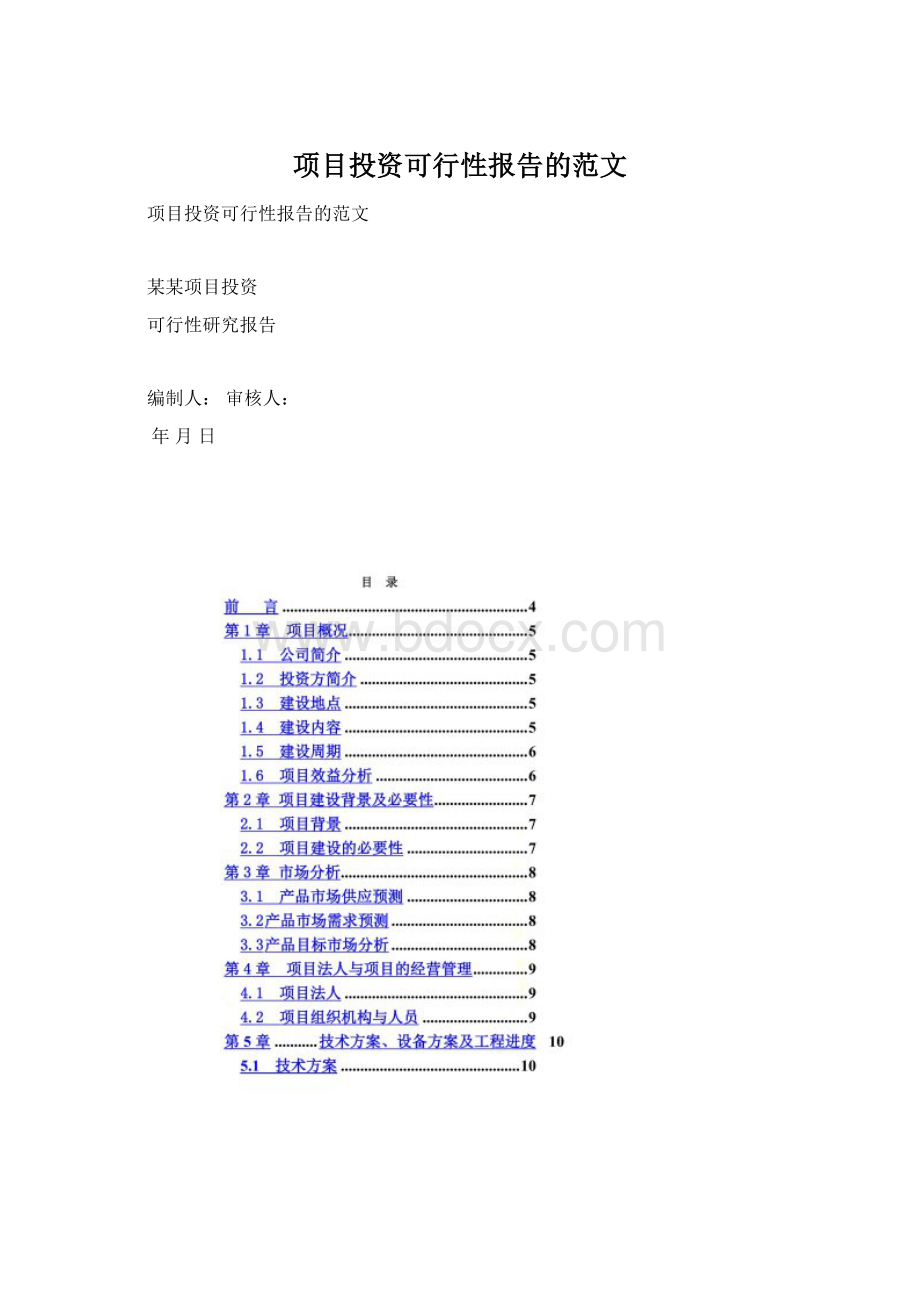 项目投资可行性报告的范文.docx_第1页