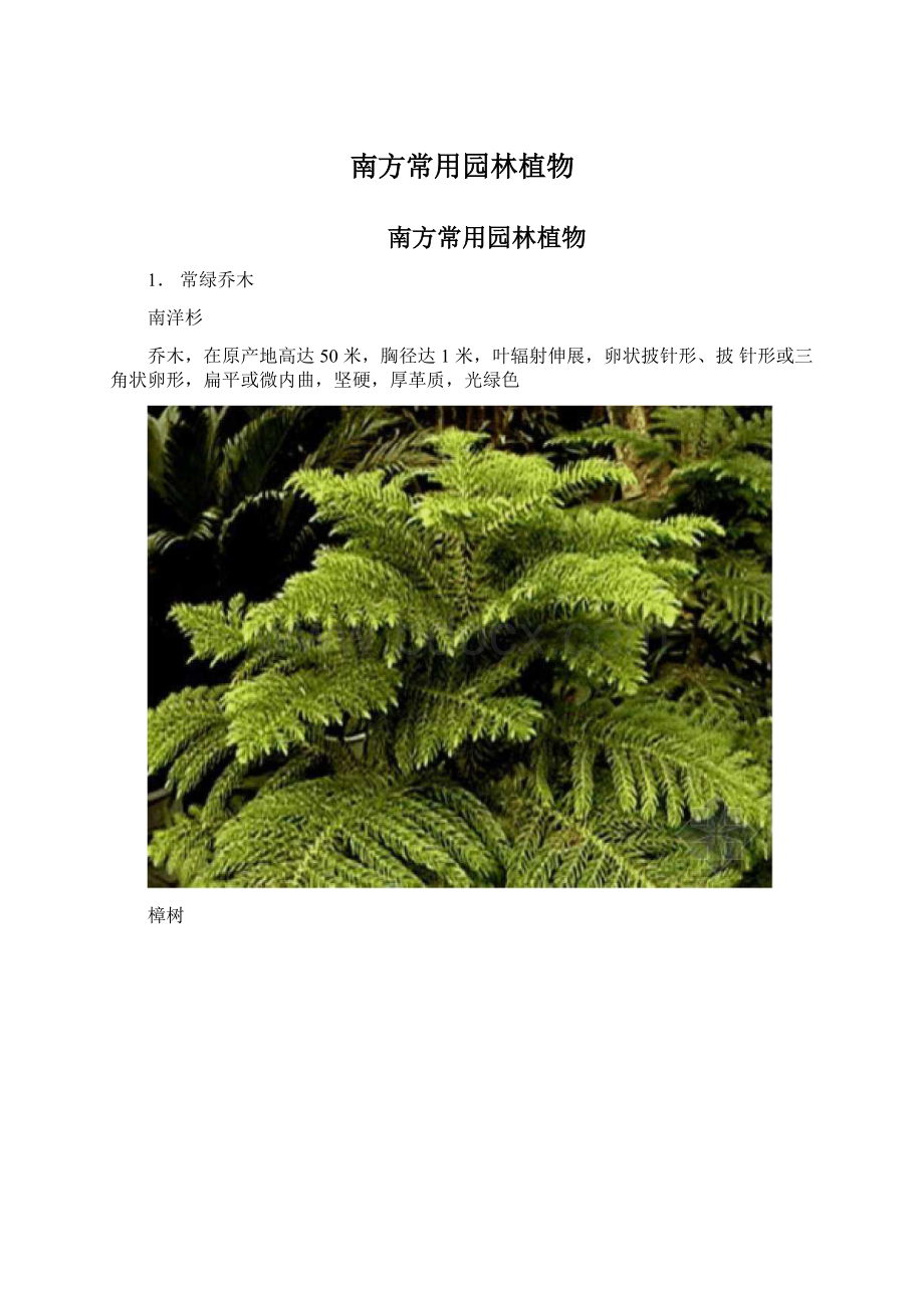 南方常用园林植物Word文件下载.docx