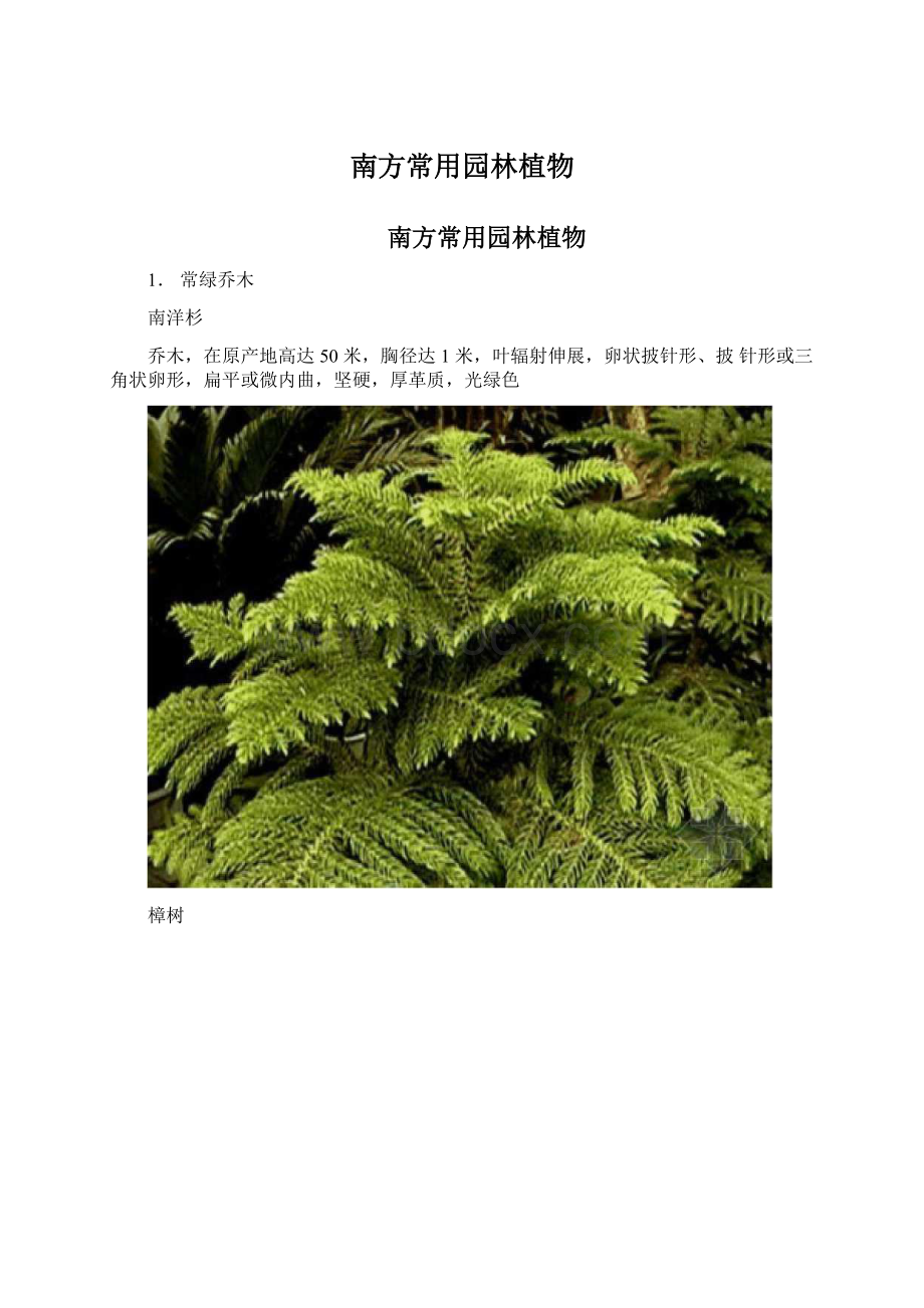 南方常用园林植物Word文件下载.docx_第1页