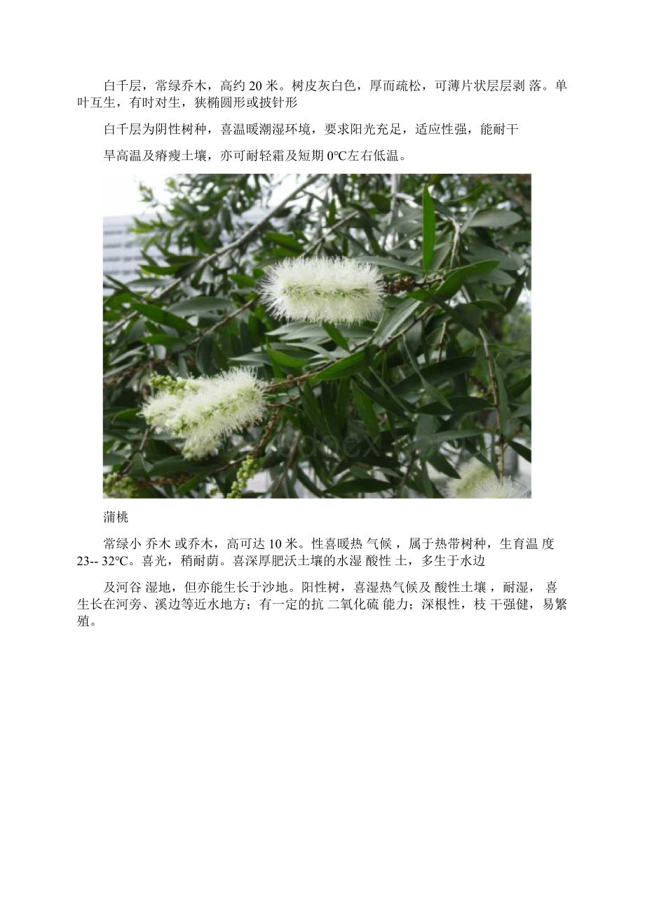 南方常用园林植物Word文件下载.docx_第3页