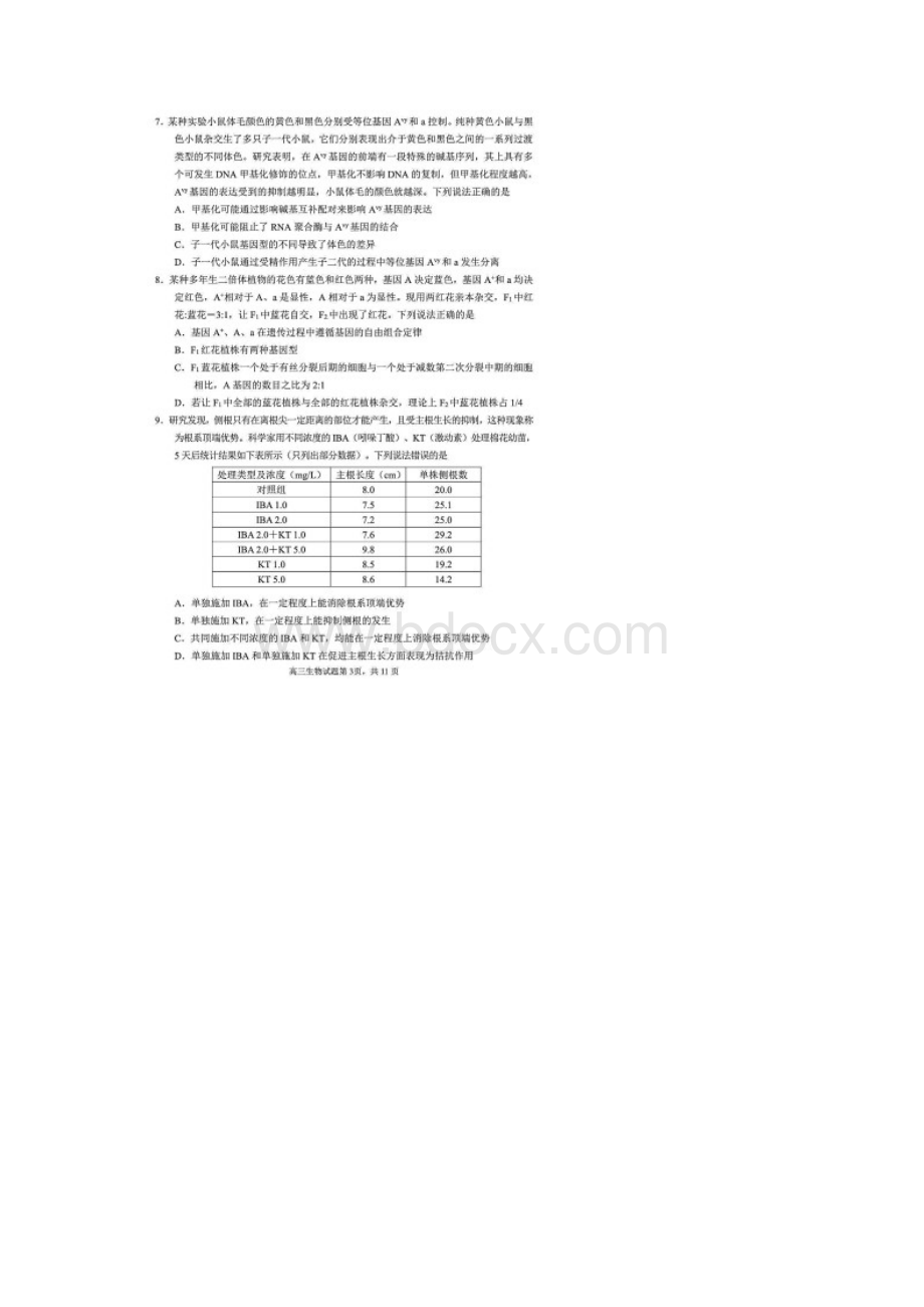 山东省威海市届高三上学期期末考试生物试题含答案解析Word文档下载推荐.docx_第3页