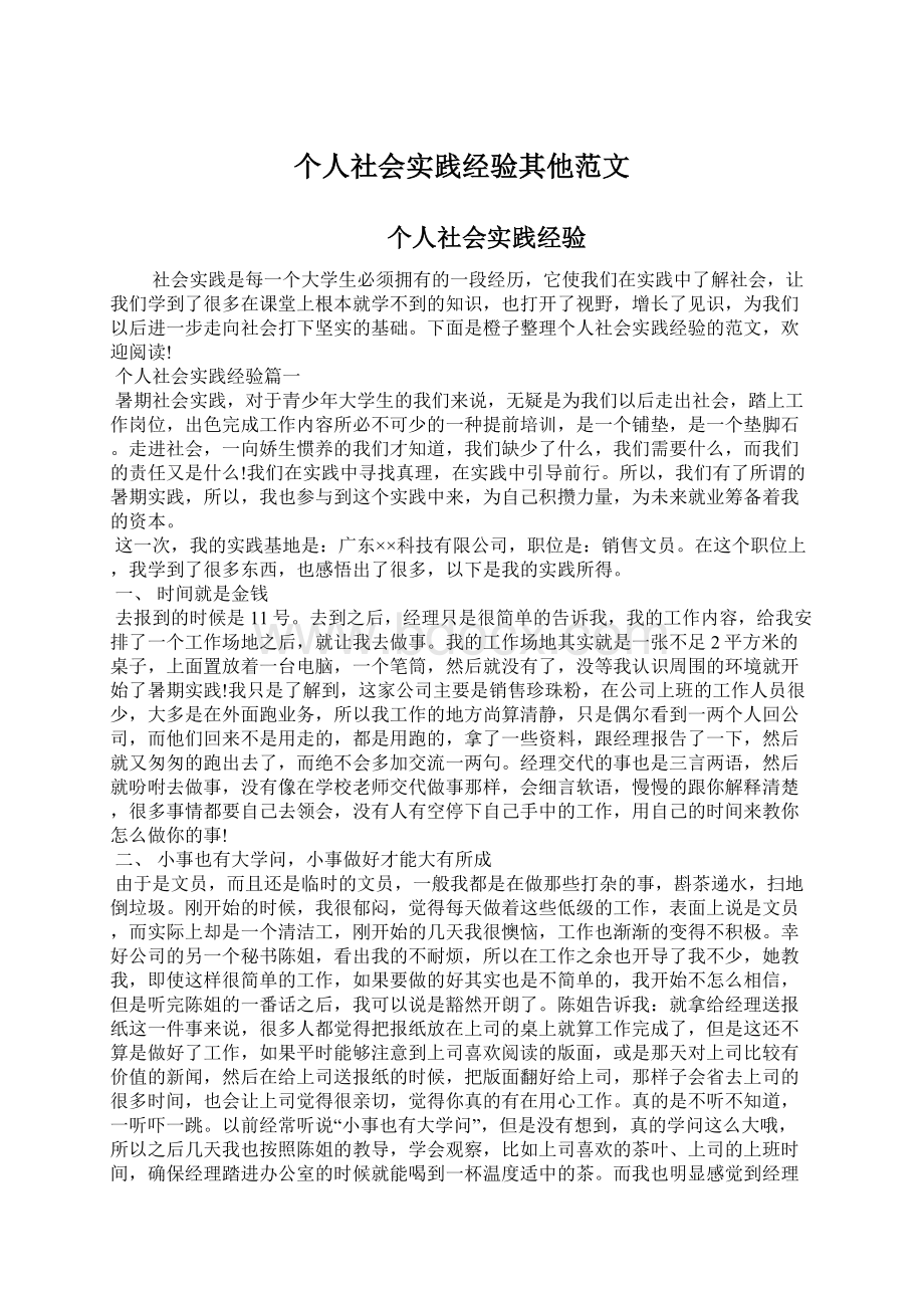 个人社会实践经验其他范文.docx