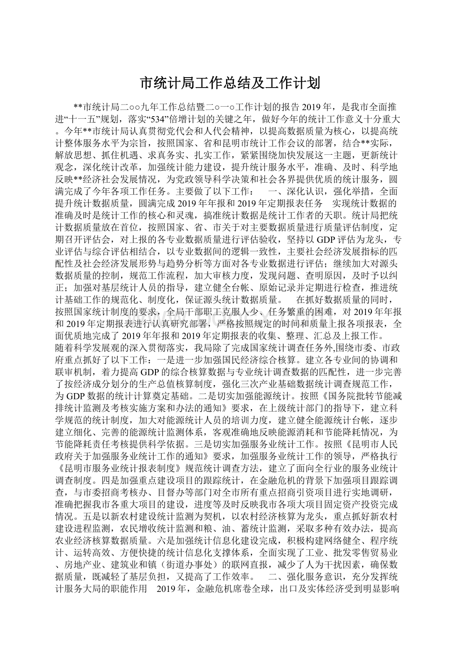 市统计局工作总结及工作计划.docx_第1页