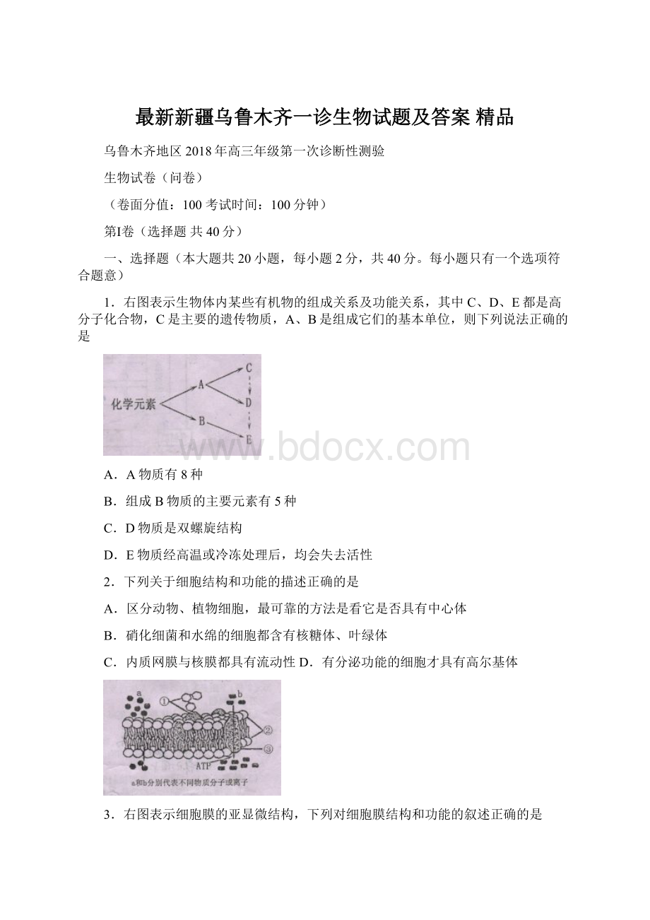 最新新疆乌鲁木齐一诊生物试题及答案 精品.docx