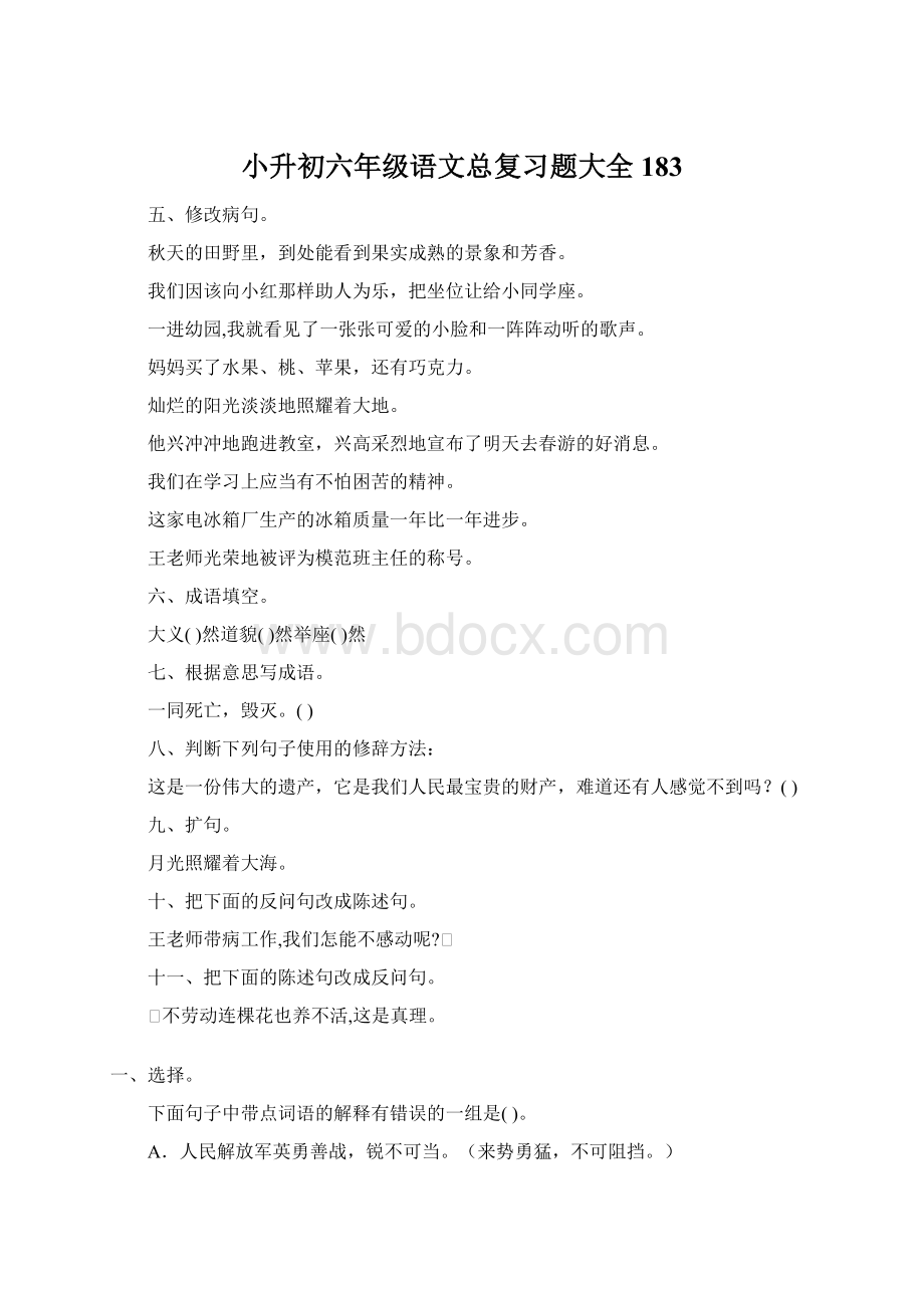 小升初六年级语文总复习题大全183Word文档下载推荐.docx