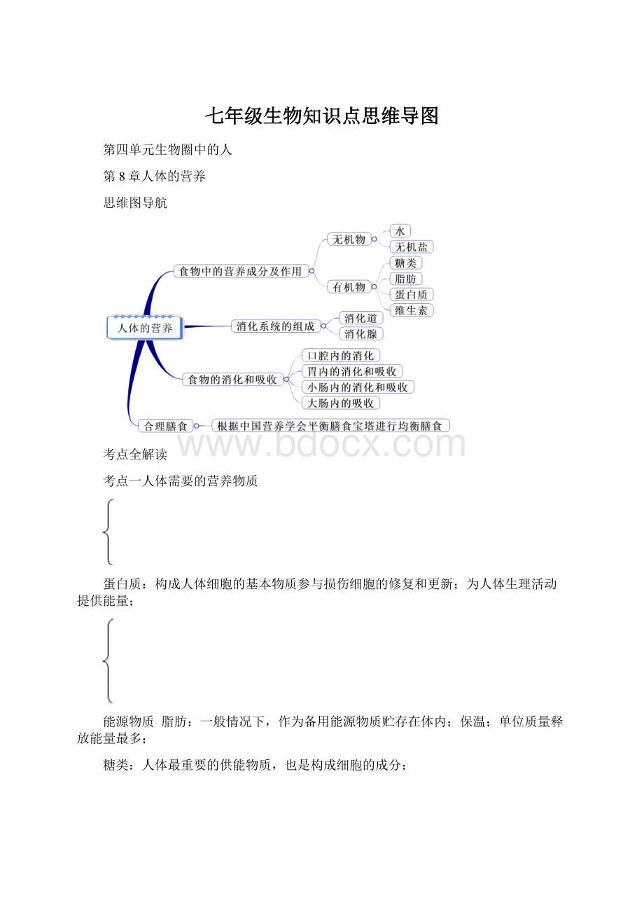 七年级生物知识点思维导图文档格式.docx