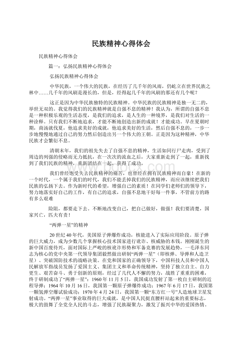 民族精神心得体会文档格式.docx_第1页