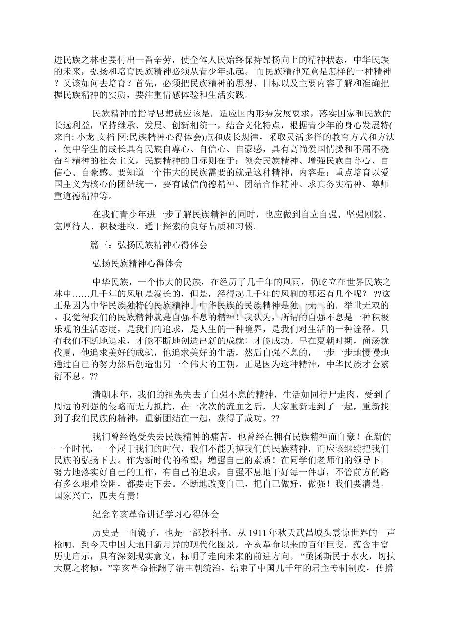 民族精神心得体会文档格式.docx_第3页